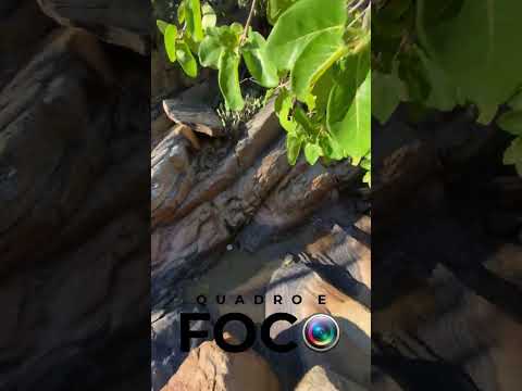 SÍTIO ARQUEOLOGICO MOCAMBO Lagoa do Barro PI