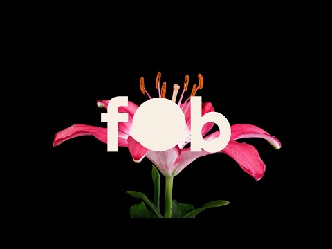 fob - Be Alright (feat. Jaime Deraz) (Official Lyric Video)