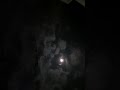 Chamakte Chand Ko Tuta Hua Status Ghazal