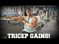 3 Exercises For Bigger Triceps | Finding Pants That Fit