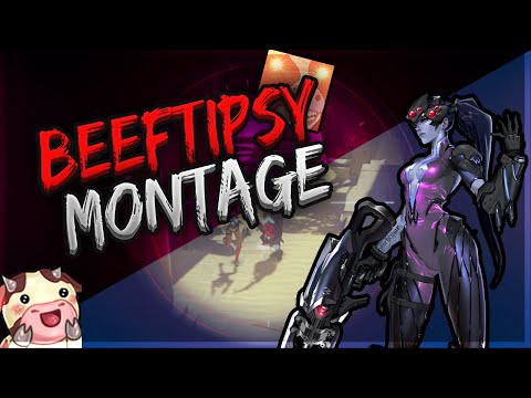 Beeftipsy Widow Montage