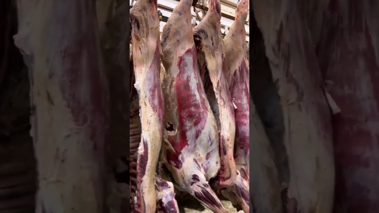 Amazing opportunity to tour a historic meat packing facility 🐄🤝🏻🥩