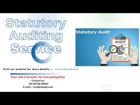 Consulting firm corporate statutory auditing services