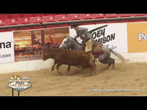 Dualin Stargun ridden by Justin E. Lawrence  - 2016 NRCHA Stallion Stakes (FINALS - Open Cow Work)