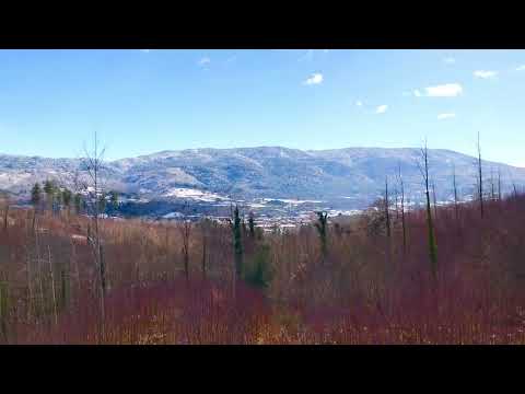 Serra San Bruno innevata