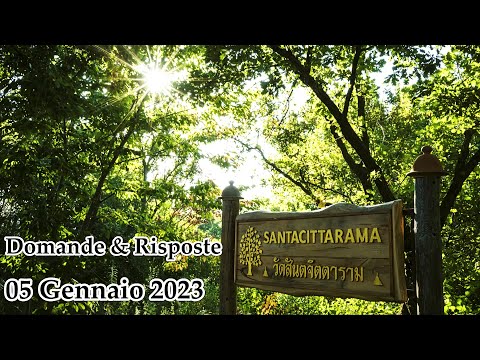 Ajahn Chandapalo - Dhamma Domande e Risposte [Giovedì 05 Gennaio 2023]