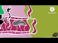 BFDI Retold 5 In G Major 37 41