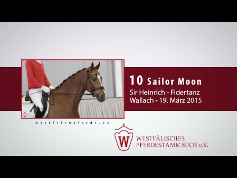 10 Sailor Moon Wallach v. Sir Heinrich - Fidertanz