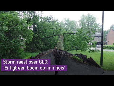 Storm in Gelderland | Compilatie | 5 juni  | Omroep Gelderland