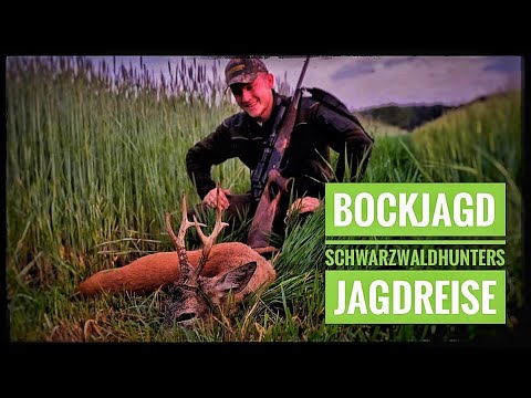 Bockjagd im Mai | Lebensbock! | Team Schwarzwaldhunters bei TTA-Jagdreisen | Roebuck hunting