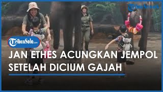 Jan Ethes Banjir Pujian Berani Acungkan Jempol setelah Dikalungi Bunga & Dicium Gajah di Solo Safari