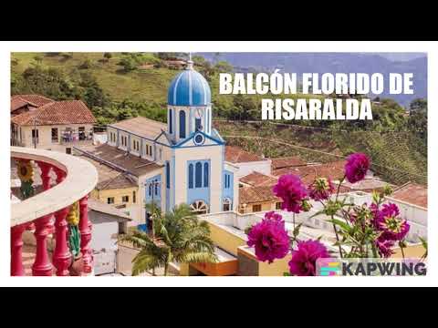 Balboa Balcón Florido De Risaralda 💚🤍❤️