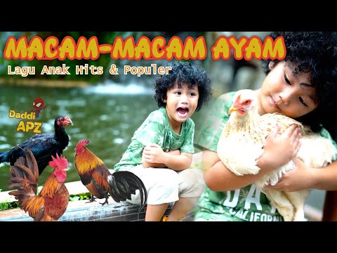 Lagu Macam Ayam Populer | Lagu Macam - Macam Ayam | Lagu Anak Hits Dan Populer Sepanjang Masa