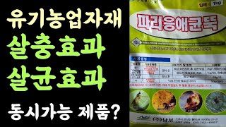 파리응애균뚝???? 살균살충 동시효과 유기농업자재?