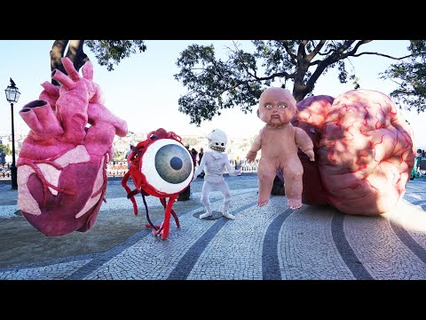 ❤️ Human Body Organs visit Lisbon!