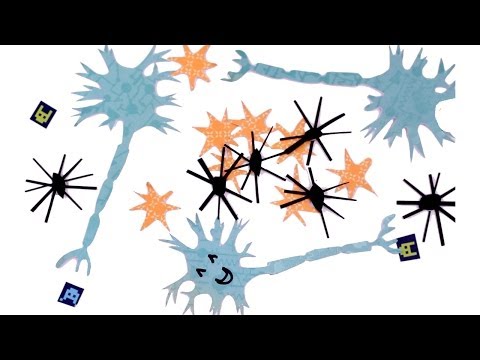 聞いたこともないような驚きの脳細胞 (Amazing Brain Cells You've Never Heard of)