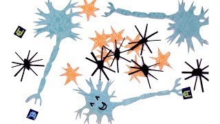 Amazing Brain Cells You've Never Heard of