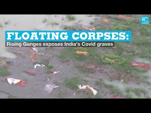 Floating corpses: Rising Ganges exposes India's Covid graves