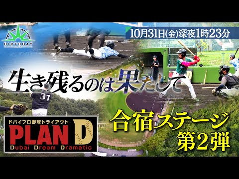 YouTubeで見る YouTubeで見る