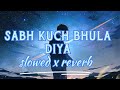 Sab Kuch Bhula Diya Sonu Nigam Sad Song Slow Version Lofi Slowed Reverb