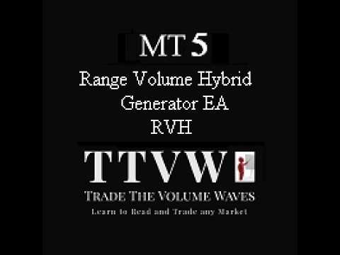 Video RVH Monitor MT5