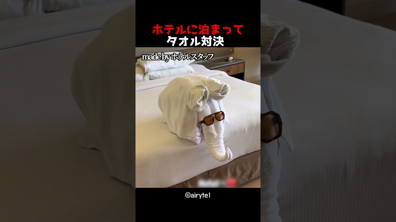 ホテルに泊まってタオル対決 勝者は