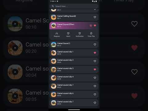 Camel Sounds