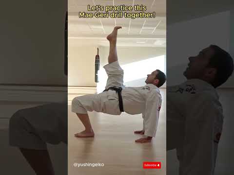 Shotokan Karate - Let's practice this Mae Geri drill together | #karate #martialarts #tutorial #dojo