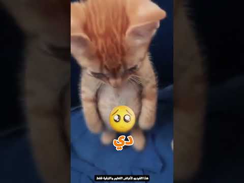 بيوثق بالكاميرا لحظات كبر بنته🥹😍