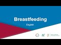 HSE My Health My Language English Breastfeeding