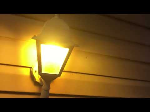 YouTube video about: How to get rid of light bugs?