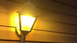 1 simple trick to keep bugs away from your porch light