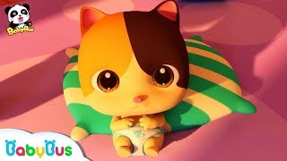 Biệt đội trông trẻ Panda | Gấu trúc Kiki và những người bạn | Nhạc hoạt hình thiếu nhi | BabyBus