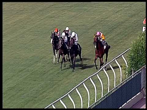 Galoppo 19/06/2020 - 2ª corsa