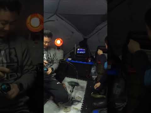 Overnight Ice Fishing Burbot - Double Bubble!!!