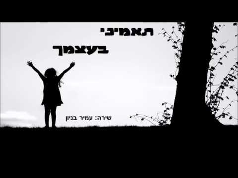 עמיר בניון