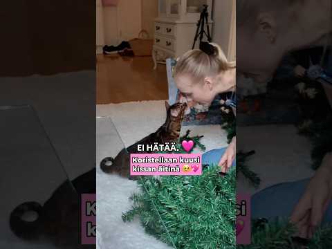 Onko siellä muita jouluihmisiä? 🤭💖