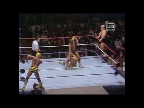 Paul Orndorff King Kong Bundy vs. Killer Bees - 3/15/1987