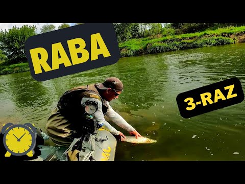 Raba - kolejny spływ! Czy to był pstrąg marzeń?