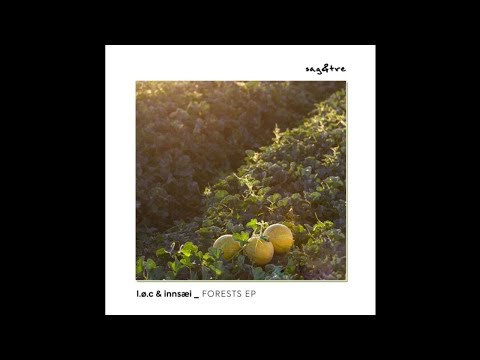LØC & Innsæi - Forests