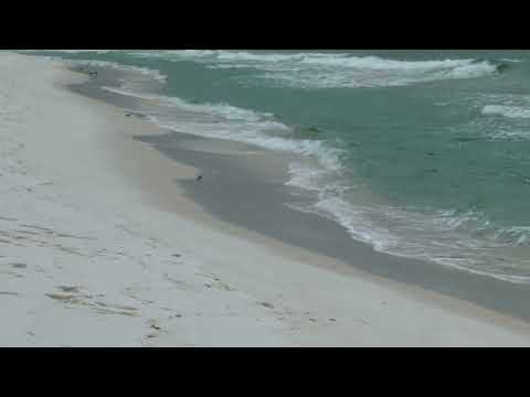 BEACHES & DUNES - FLORIDA GULF COAST