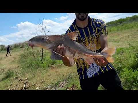 Pesca en alejandra santa fe, Río san javier.