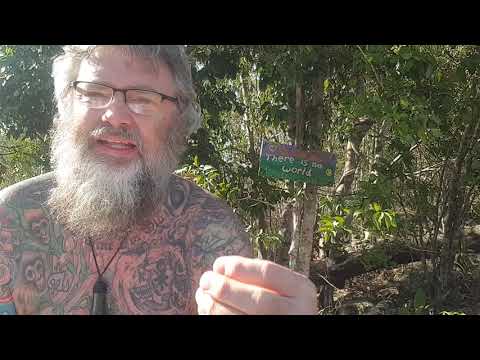 ACIM WB Lesson 25 ~ A COURSE IN MIRACLES WORKBOOK LESSONS ~ 365 DAYS W/ DAVE PHARE