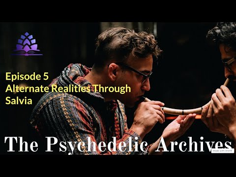 Living Another Life During a Salvia Trip | The Psychedelic Archives #5