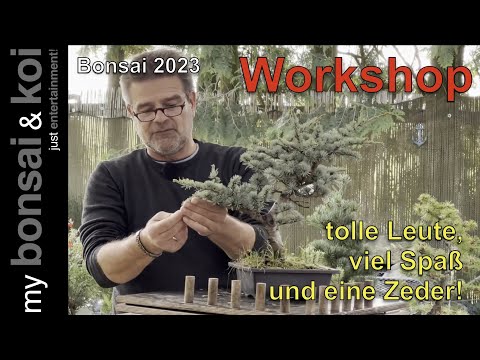 Bonsai 2023-59 - Workshop in the Bonsai Garden Baumeister - great people, lots of fun and a cedar...