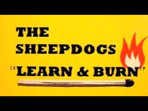 The Sheepdogs - Please Don't Lead Me On