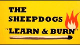 The Sheepdogs - Please Don�t Lead Me On video