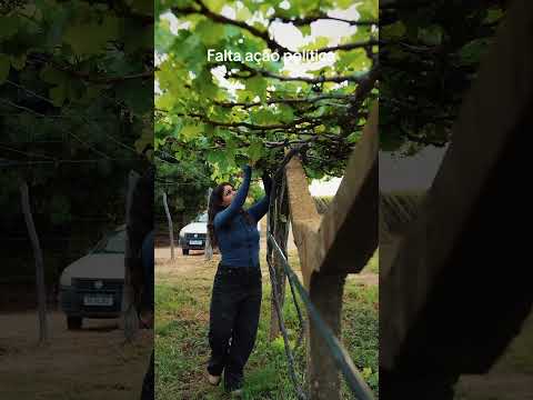 Falta ação política #estudante #lagoagrandepe #pernambuco #valedosaofrancisco