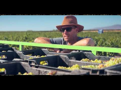Ultra - SWARTLAND Old vine Chenin