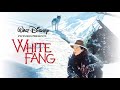 Disney Köpfilm Varghunden White Fang Reklam Hyrfilm VHS Trailer